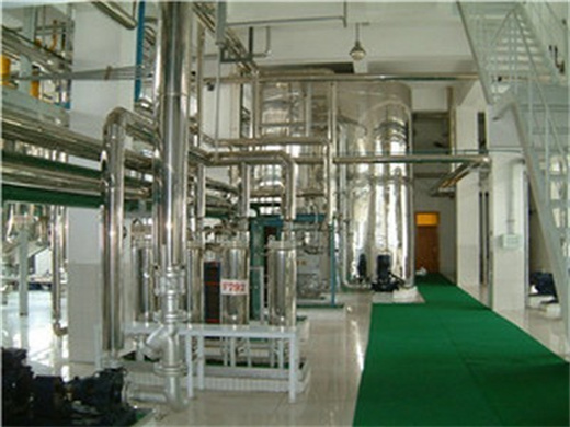 Avocado Hydraulic Oil Press Machine in Niger