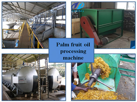 Soybean Oil Refinery Plant Manufacturer Machine in Burkina Faso