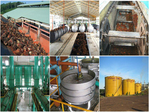 1-10Td Vegetable Edible Cooking Oil Refinery in Togo