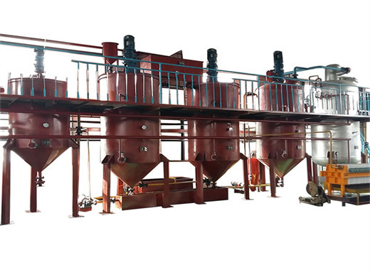 Leading Seeds Rice Bran Oil Extraction Machine in Algeria