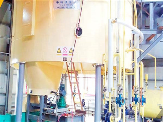 Ce Iso Apprpved Rapeseed Oil Refinery Machine in Burundi