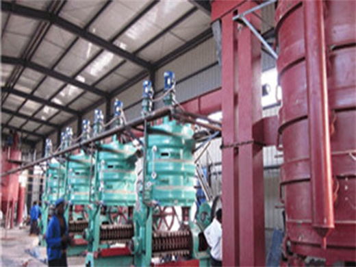 Conveyor Machine For Palm Oil Press Machine in Congo