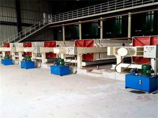 Soybean Cold Press Oil Extraction Machine Ce From in Morocco