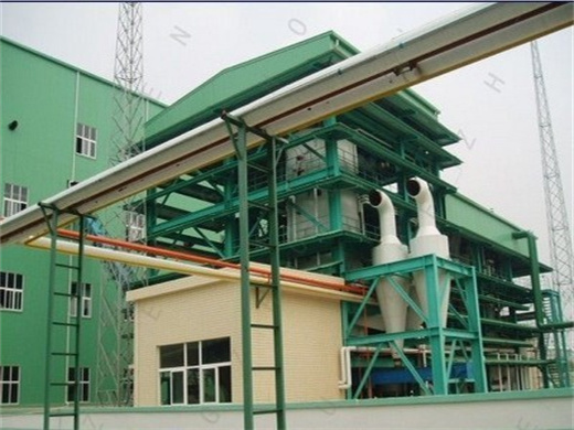 Oil Crude Palm Kernel Oil Refinery Plant in Egypt