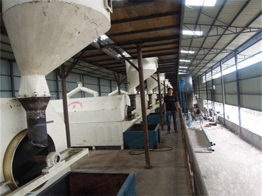 Expeller Extractor Oil Press Company in Malawi