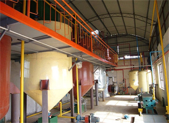 High Capacity Efficient Argan Oil Extraction Machine in Zimbabwe