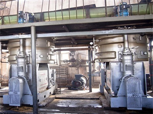 Large Sunfloweroil Refined Mill Equipment in Kenya