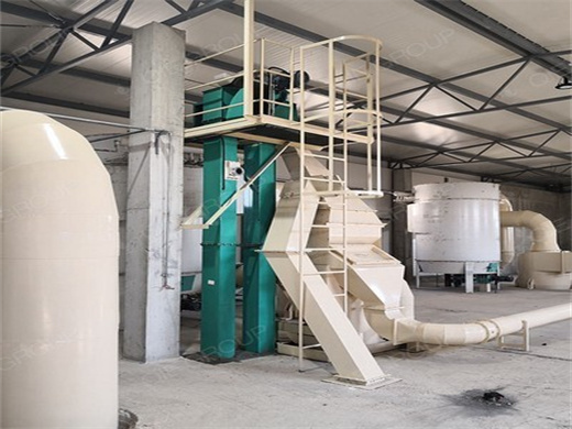 Factory Price Castor Groundnut Oil Making Machine in Guinea