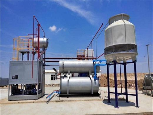 Ce Iso Sgs Palm Kernel Oil Processing Machine 60T in Botswana