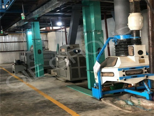 Cocoa Bean Butter Grinding Processing Machine in Guinea