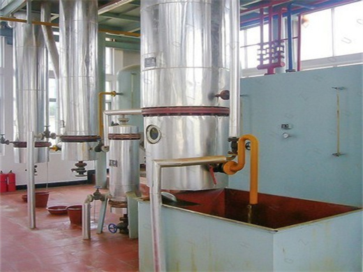 Automatic Commercial Sunflower Oil Press Machine in Burundi