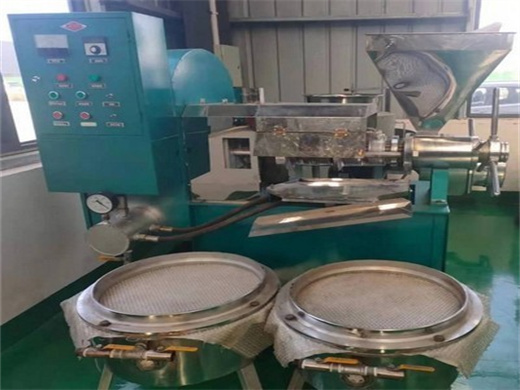 Price Of Electric Groundnut Oil Press Machine in Ivory Coast