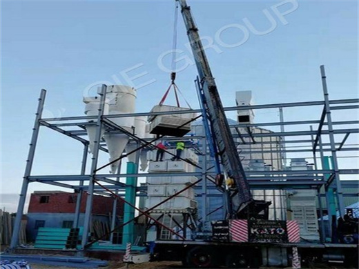 Gopal Flaxseed Oil Refinery Plant Capacity 100  in Angola