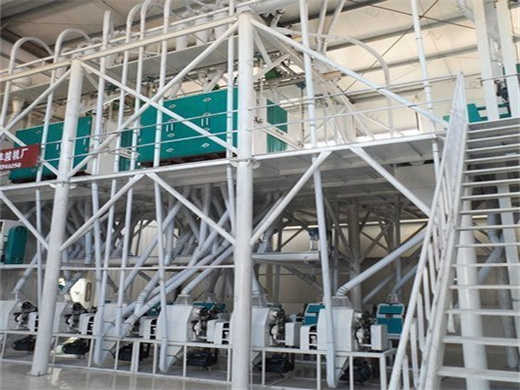 30T Per Day Soybean Oil Refinery Line in Malawi