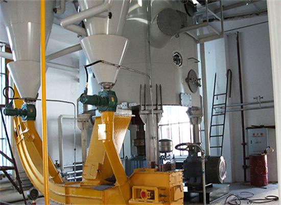 Small Sunflower Oil Extruder in Morocco