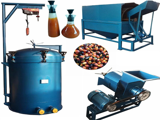 Semi Automatic Palm Fruit Oil Expeller Wholesale in Mozambique