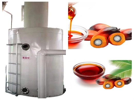 Walnut Oil Processing Equipment in Egypt