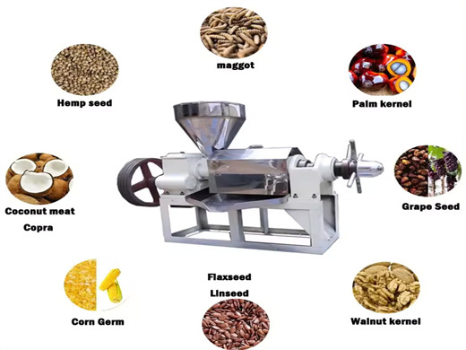 Buy Cold Press Oil Machine For Neem Oil in Burundi