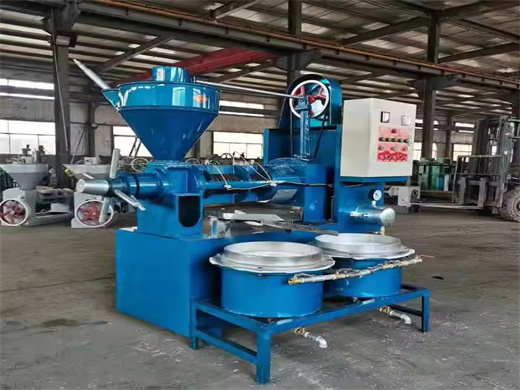 180 Tpd Electric Castor Oil Press Machine in Uganda