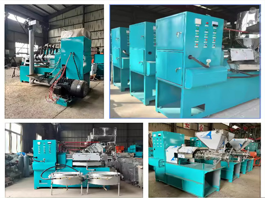 Oil Press Machine Project Edible Oil Press Machine Palm Oil Press Machine in Egypt