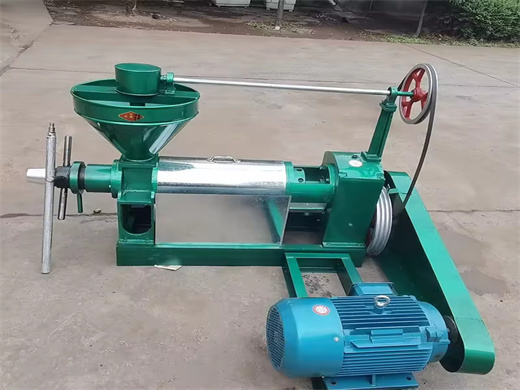 Automatic Shea Nut Oil Seed Press Machine in Nigeria