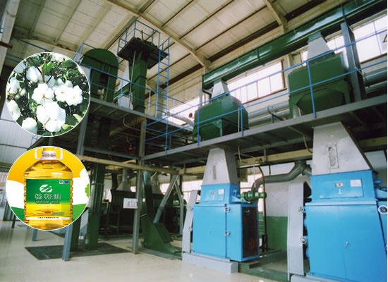 Physical Groundnut Oil Refined Process Machine in Guinea