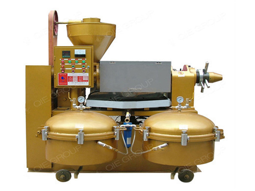 Hot Sell Mini Oil Extraction Machine For Groundnut Seed in Morocco