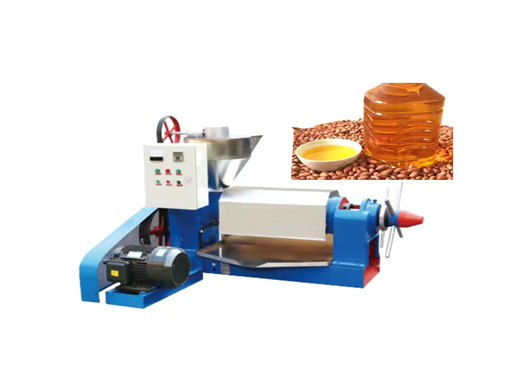 Palm Kernel Oil Filter Machines in Gabon