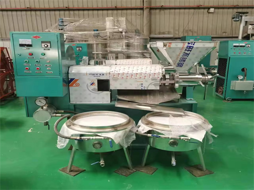 220V Sesame Oil Press Machine in Guinea