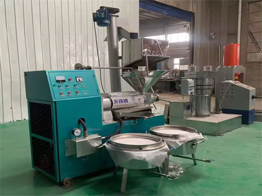 Hot Sale Automatic Soybean Oil Press Machine in Burundi