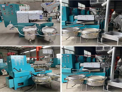 High Efficiency Best Walnut Oil Extraction Machine in Botswana