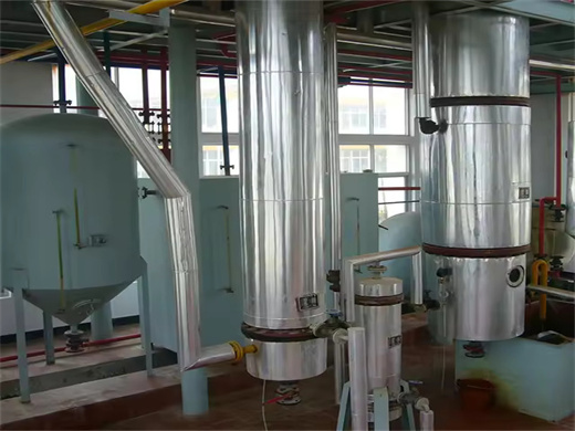 150Kg/H Automatic Rice Bran Oil Press Machine Price in Morocco