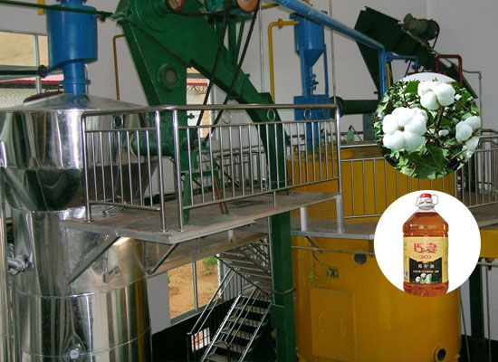 Best Factory Price Rice Bran Oil Extraction Machine Manufacturer in Burkina Faso