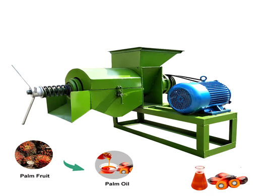 Most Popullar Safflower Oil Press Machine in Mozambique