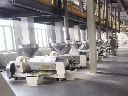 Palm Oil Manufacturing Machine in Cameroon