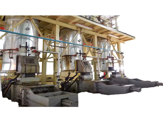 Cashew Nut Shell Oil Machine Cheap in Tanzania