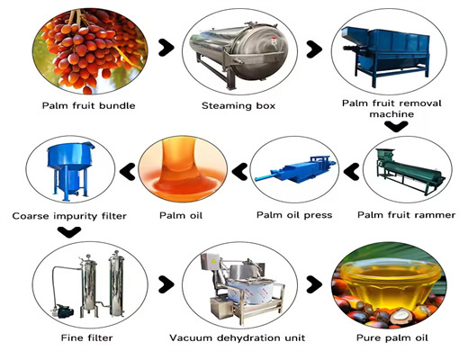 Ffb Palm Oil Production Process Equipment in Namibia