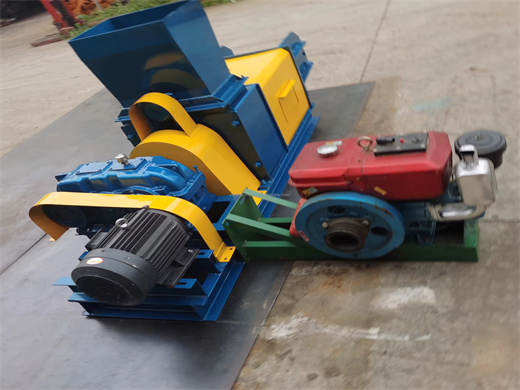 100Tpd Farm Machine Palm Oil Making Machine in Zimbabwe