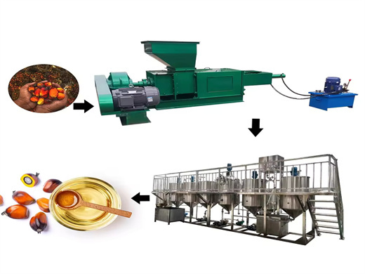 Best Sunflower Oil Processing Machine in Ethiopia