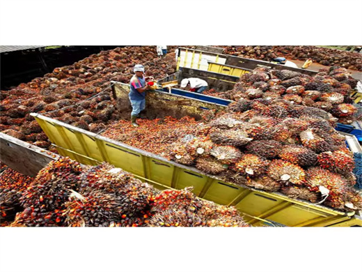 Commercial Sunflower Seed Oil Press Oil Extraction in Guinea