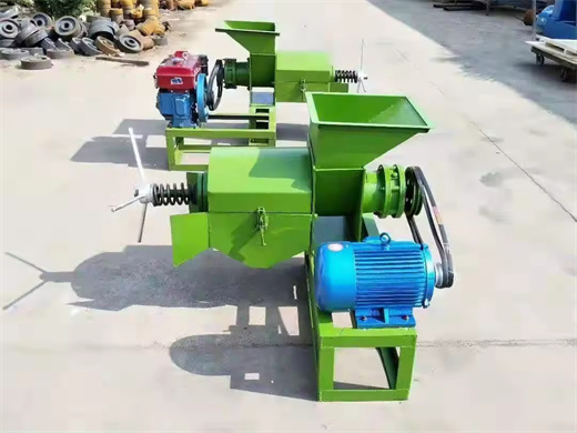 150Kg/H Automatic Peony Seed Oil Press Machine Manufacturer in Nigeria