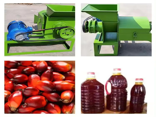 Flow Process Palm Oilmill in Ivory Coast