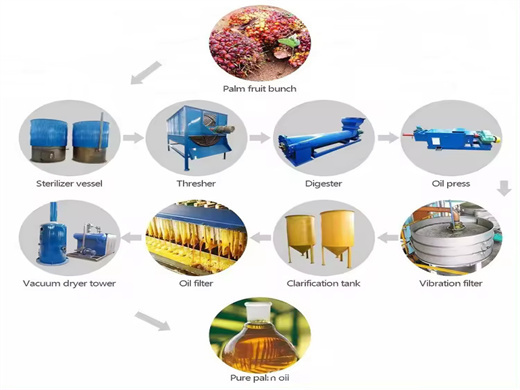 Ce Certificated Soybean Oil Squeezing Machine in Guinea