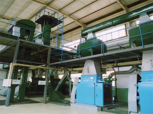 Screw Soya Bean Oil Extraction Machine African in Botswana