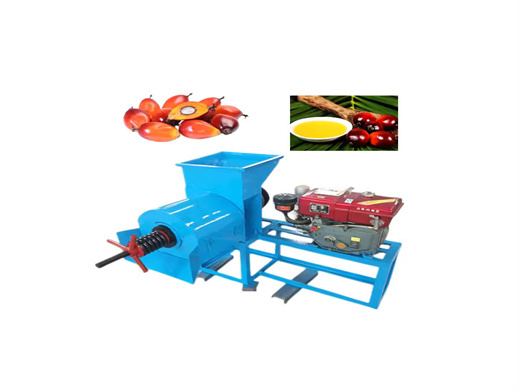 Top Brand Hot Cold Soybean Oil Processing Machine in Zimbabwe