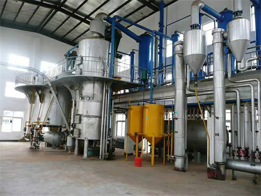 Nut Oil Press Plant Good Quality in Kenya