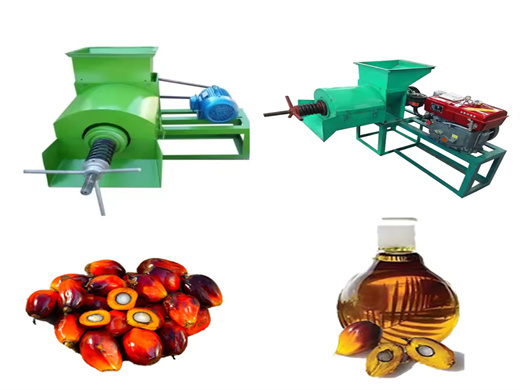 Screw Mustard Oil Making Machine in Gambia