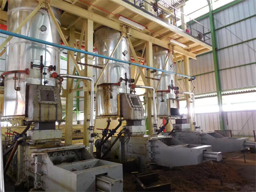 250Kg Per Hour Capacity Peanut Oil Making Machine in Niger