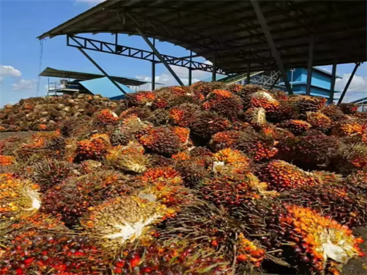 Contiounus Palm Oil Refine Process Line in Tunisia