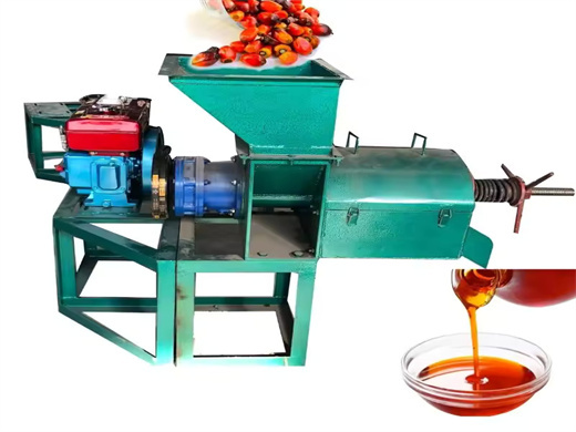 1 Tonne Per Day Peanut Oil Extraction Machine Lower in Togo